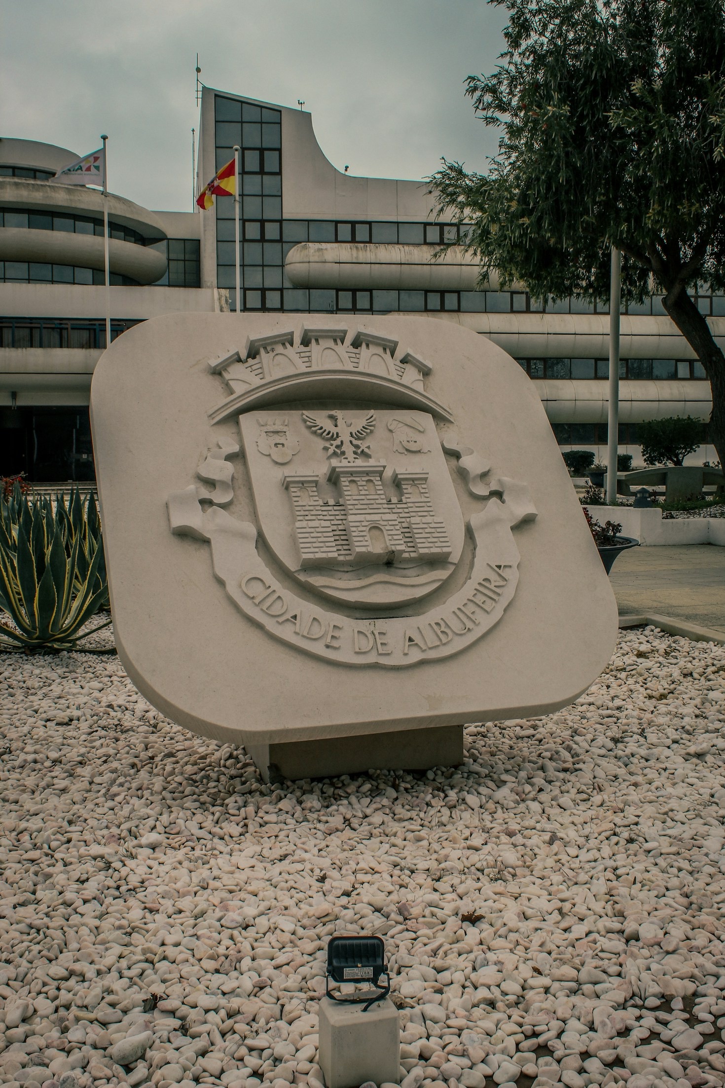 Expert Advice on Representing Interests in Council Meetings